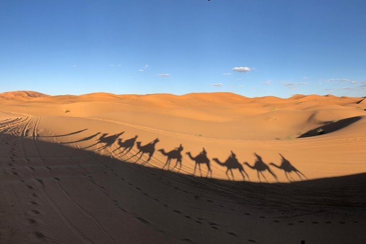 Marrakech 2022: Los 10 mejores Tours