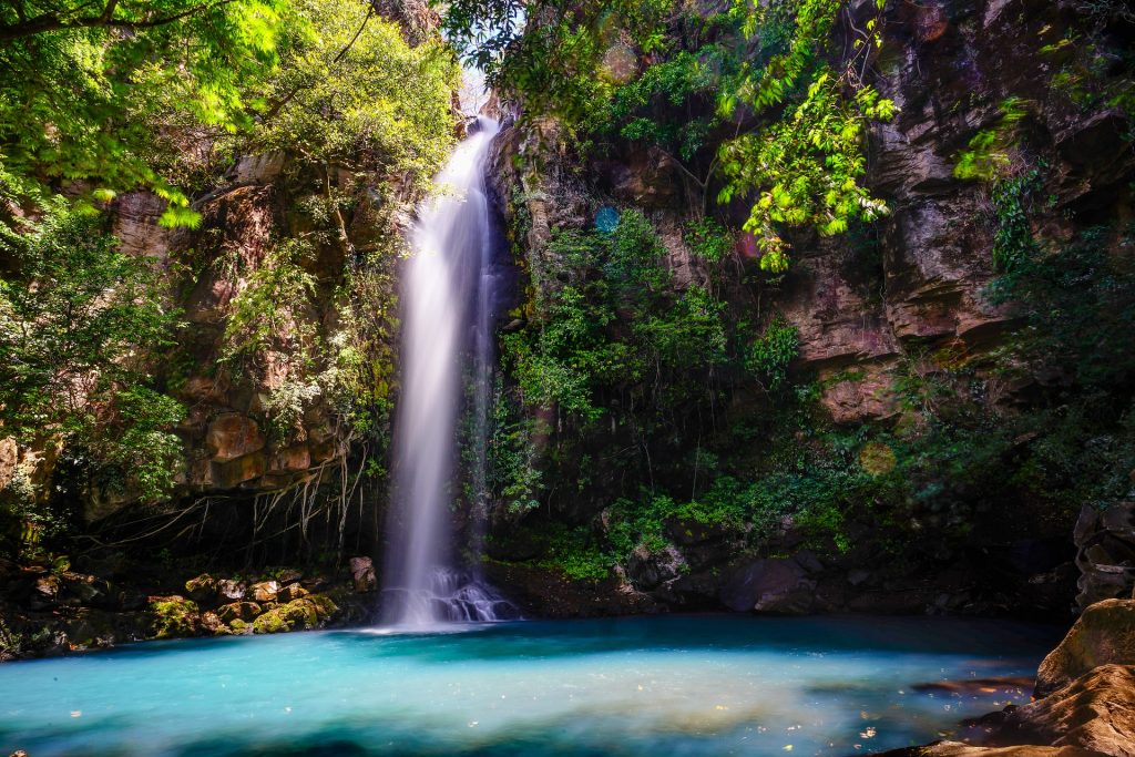 Costa Rica: Buscando el Quetzal  manantiales