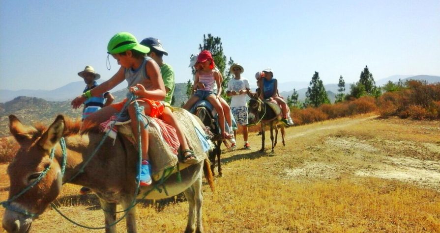 FAMILIAS EN RUTA- AETHNIC-MARRUECOS CON NIÑOS