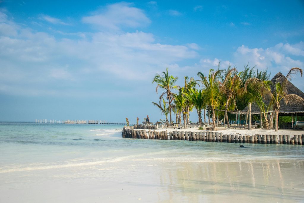 Tanzania: Safari y Zanzíbar