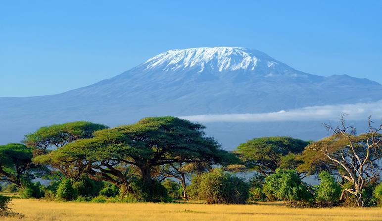 Safari en Tanzania klimanjaro