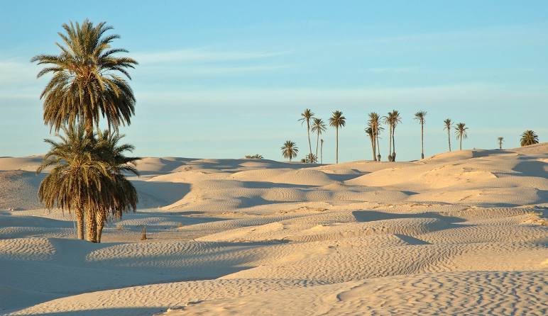 Desierto en  Túnez
