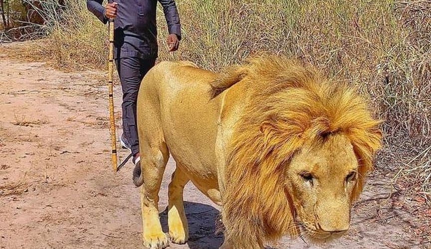 Preparar viaje a Senegal