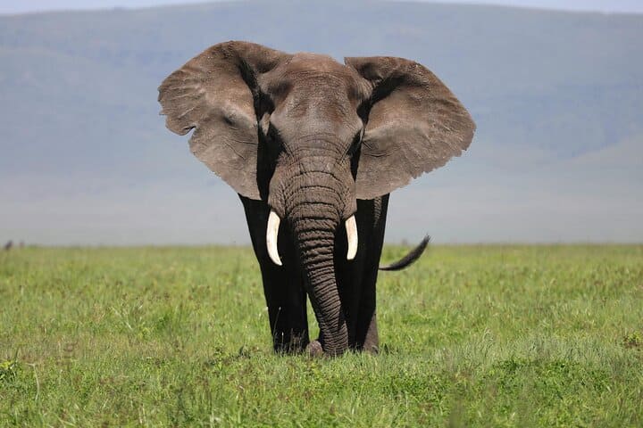 Experiencias locales en Tanzania