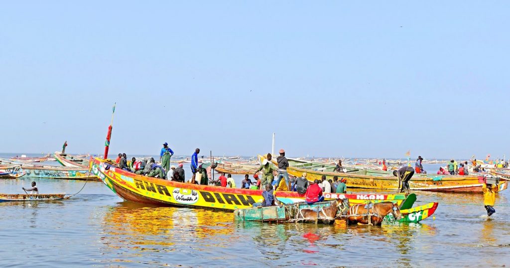 Preparar viaje a Senegal