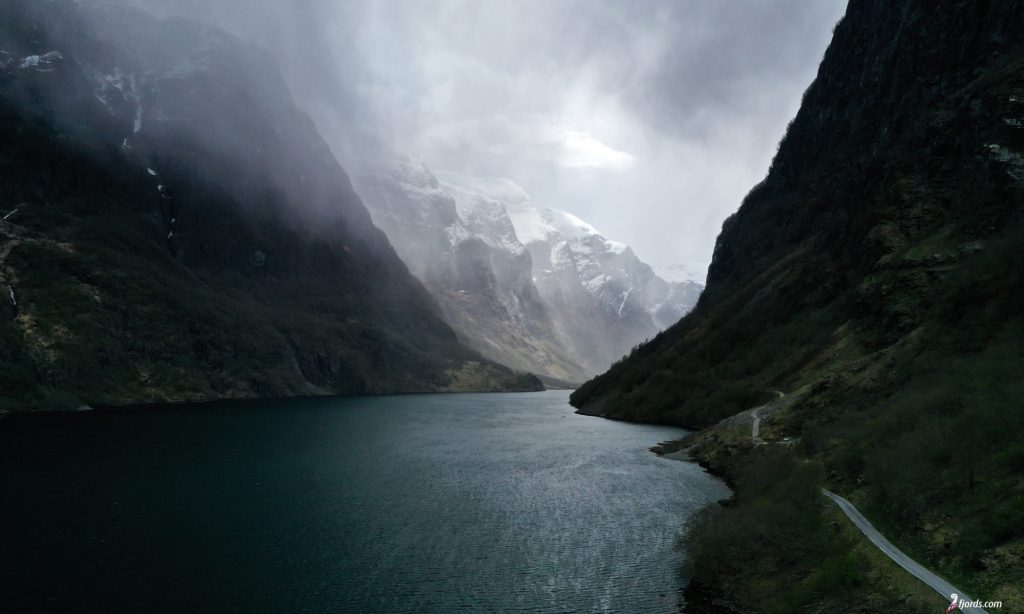 Agente local Freja norte de Europa