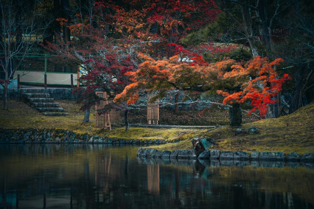qué ver en japón 10 días