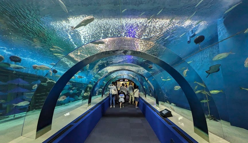 Lugares ocultos en Japón by Kanami Travel