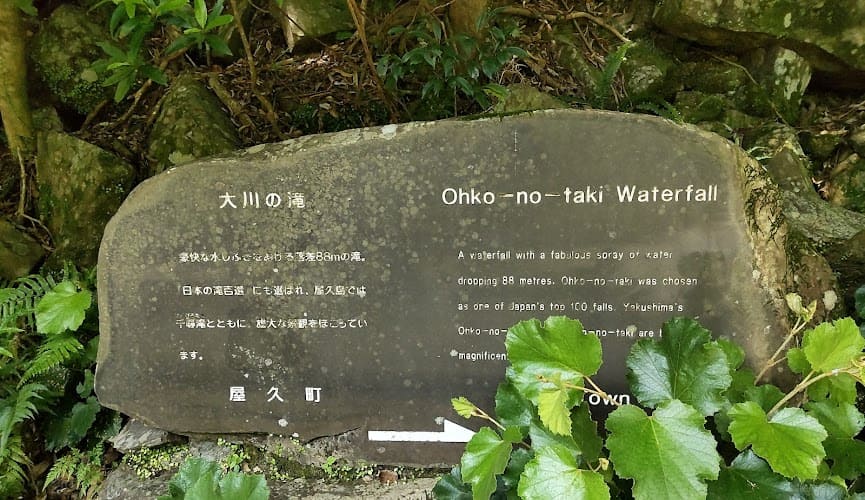 Lugares ocultos en Japón 