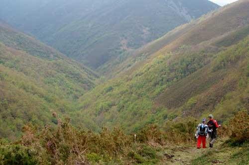 El mundo del Camino de Santiago