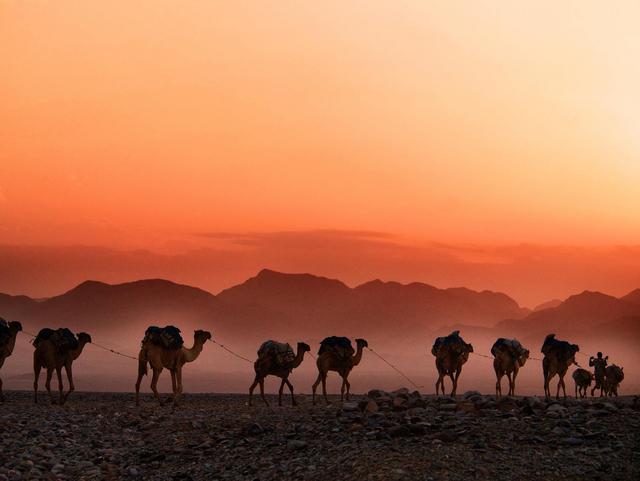 Desiertos Uzbekistan