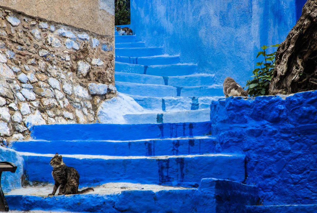 viajes a marruecos